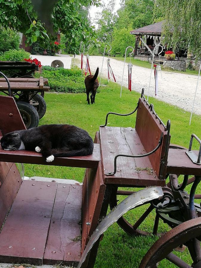 Kucuru Dzirnavas Hotel Lautere Eksteriør billede